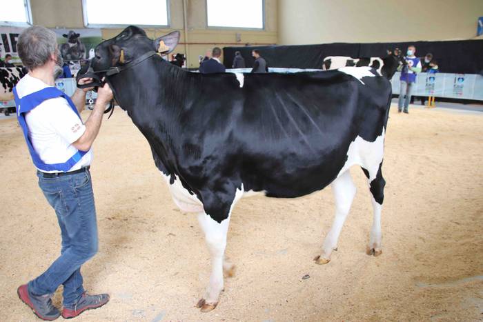 XII. Euskal Herriko Frisoi T 8 1637418665749