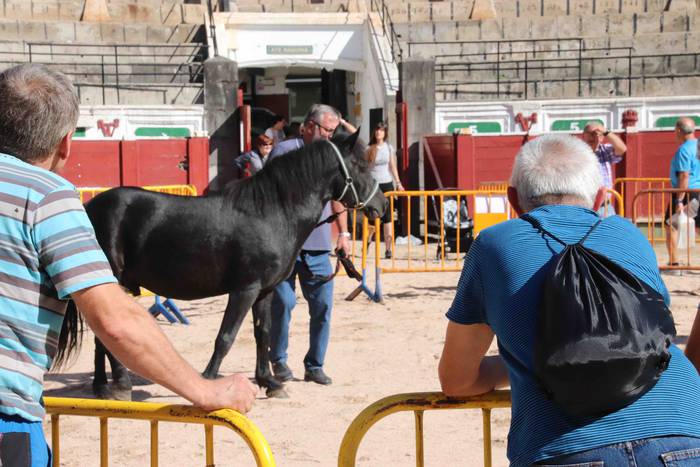 pottoka topaketa tolosa 16 1537627245293