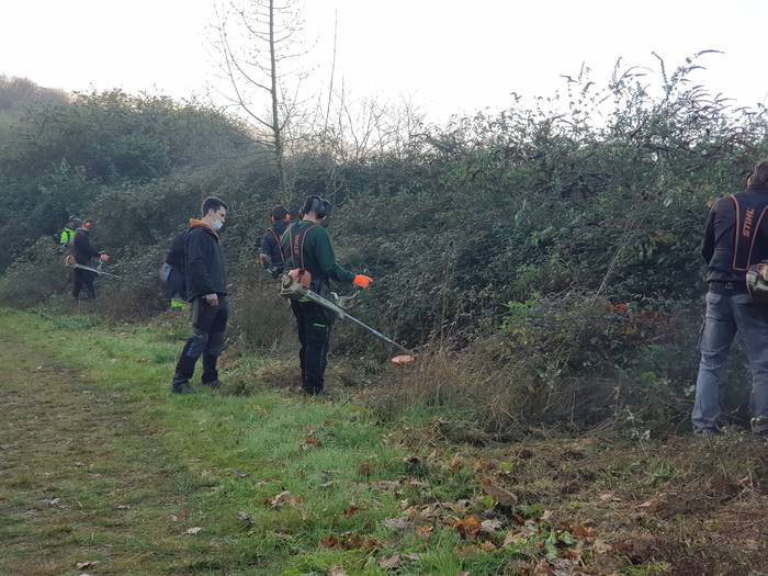 Amarotz auzoko basoa eraberritu dute Tolosako zenbait ikaslek