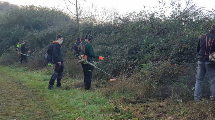 Amarotz auzoko basoa eraberritu dute Tolosako zenbait ikaslek