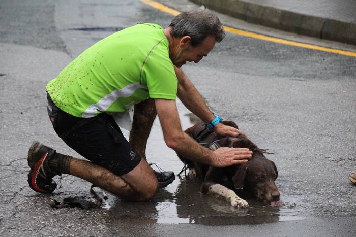 Zizurkilgo I. txakurkrosa 36 1460224208434