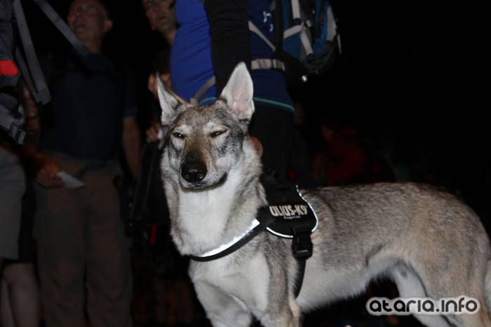 XIV orduak 2016 irteera 31 1464495925133