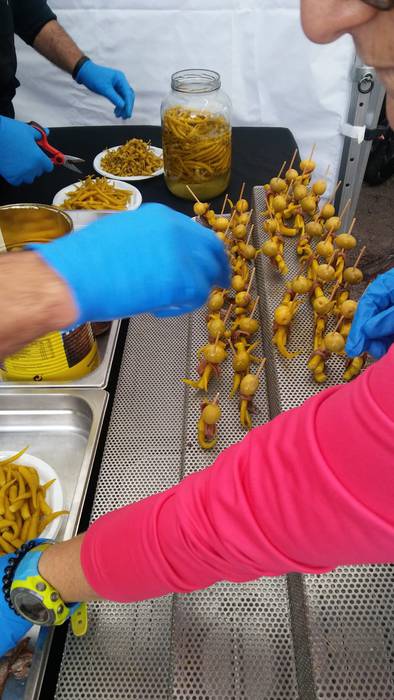 Ezpeletara eramandako 115 pi 12 1540902822628