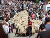 Bete-beteko festa Larraitzen
