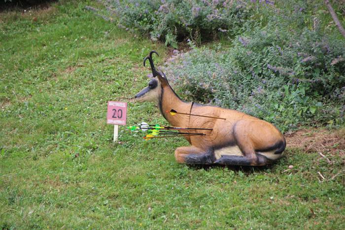 Arku-tiraketa Bihotzez elkar 26 1498391947830