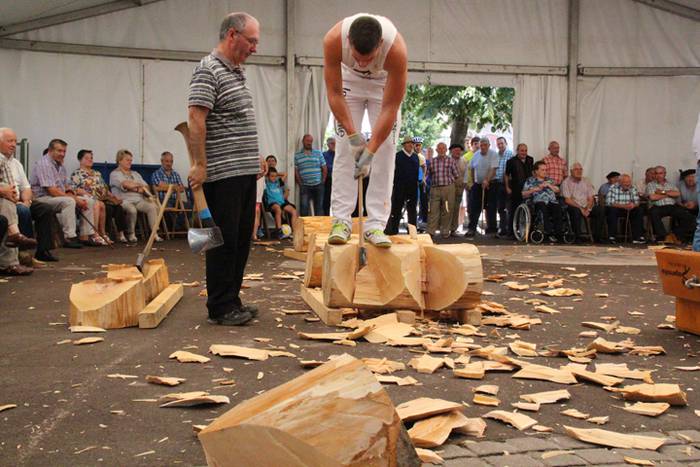 Asteasuko Festak 2016-Erretirodunen Eguna 17 1467297753616