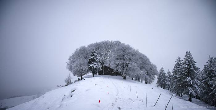 Negu Trail lasterketaren bes 6 1517853555459