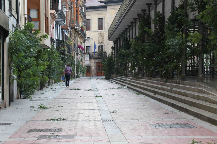 Berdez esnatzen da ekainaren 24a - 1