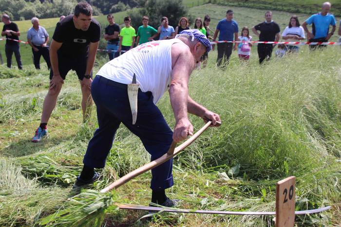 Erabaki dira Euskal Herriko  52 1532870543754