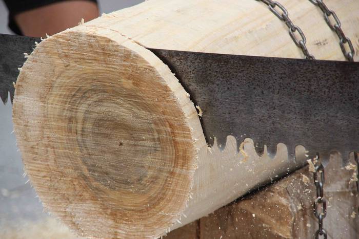 Emozioa, azken izerdira arte 50 1533757149872