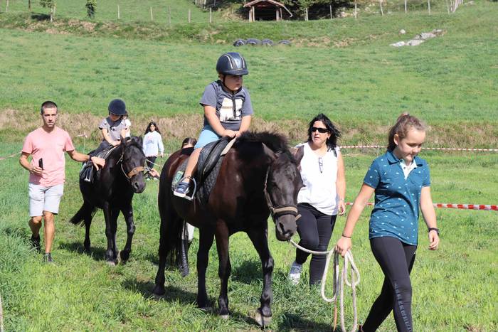 Zizurkilgo herrigunea azoka  43 1665320453677