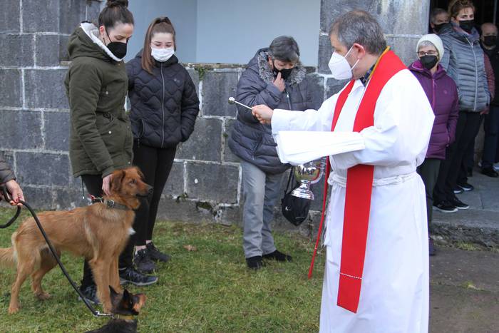 Animaliak bedeinkatu dituzte 5 1642416855291