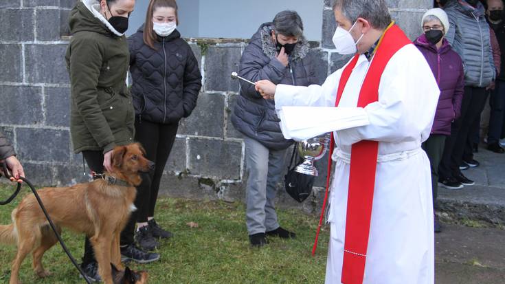 Animaliak bedeinkatu dituzte Berastegin, San Anton egunean
