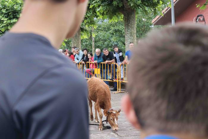 Zezen txikien aurretik 6 1656263613064