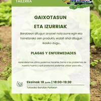 Tailerra