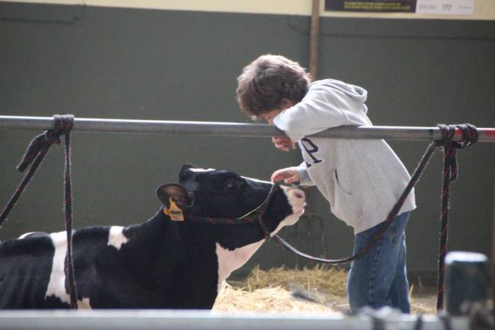 Frisoi Txapelketa 2015 13 1447530179977