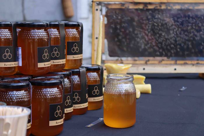 Postu txikiz bete da Alegiko 17 1632658207601