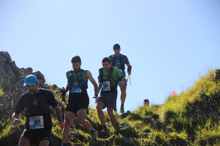 Aldaketak biharko T3T, T2T eta T1T probetan