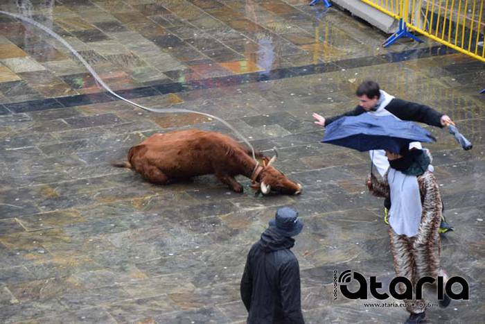 Inauteriak 2018, sokamuturra 23 1518437926824