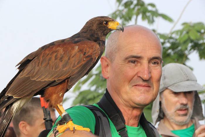 2016 bidea 18 1471775872470