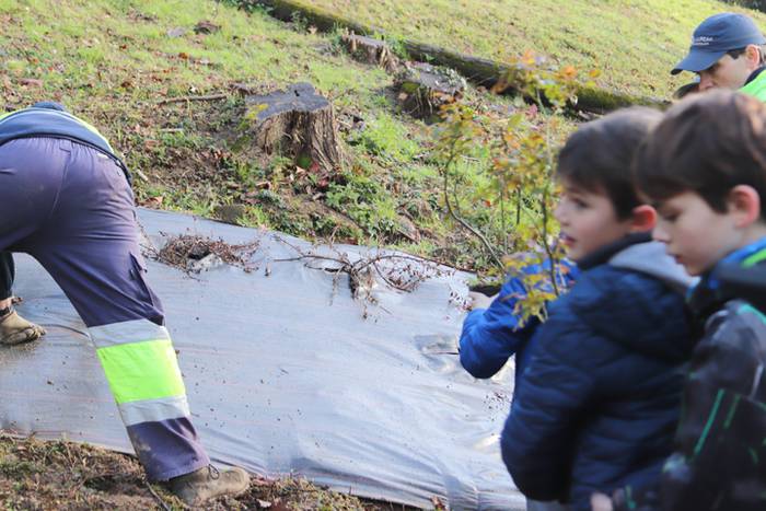 Tolosako ikasleek zuhaitzak  6 1520435449222