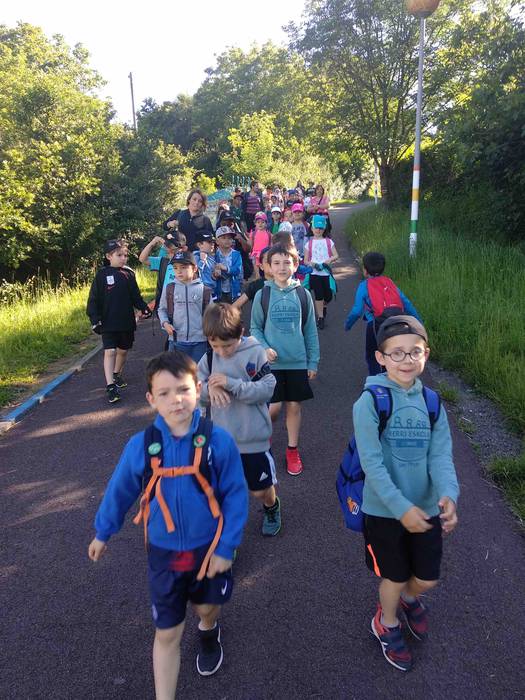 Fleming mendi irteera 21 1559657926102