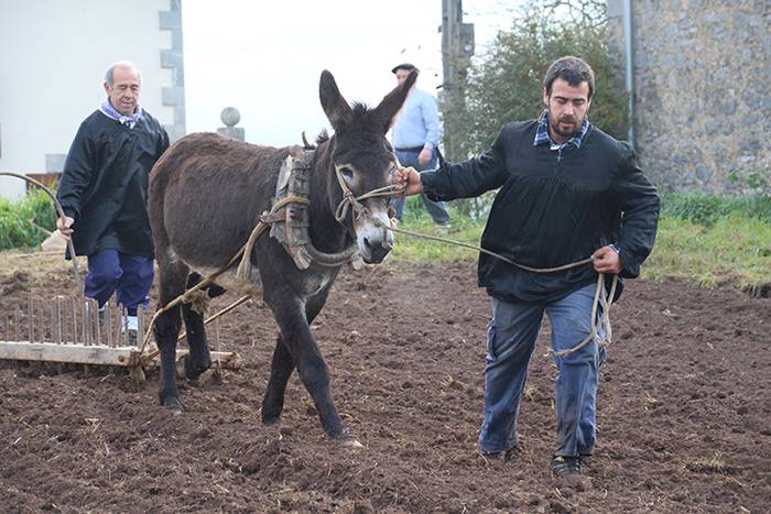 ADUNAKO KULTUR ASTEA 2017. G 18 1511017949055