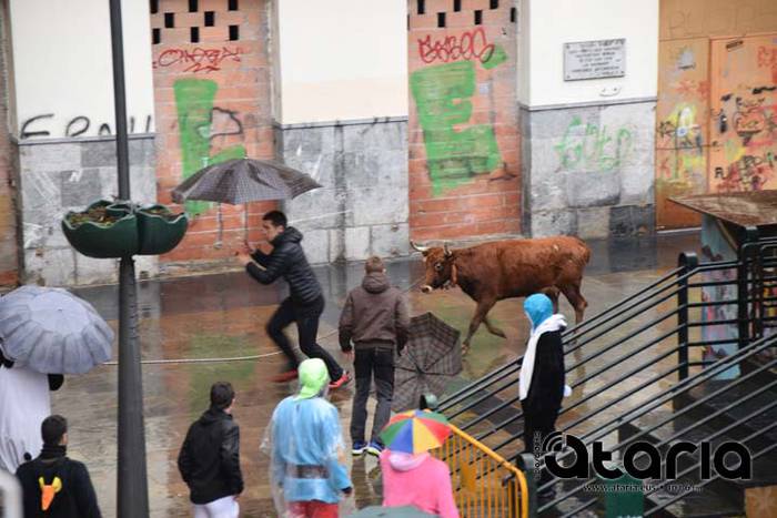 Inauteriak 2018, sokamuturra 26 1518437944042