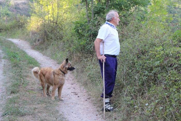 Artzaina eta txakurraren artea Amezketan 5 1472322291463