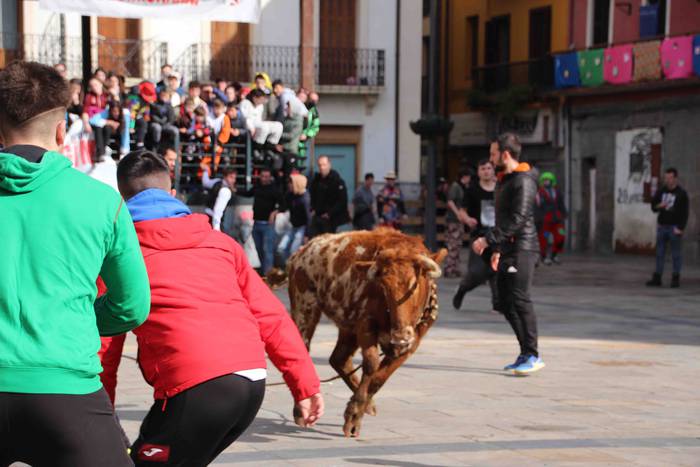 Soka zintzilik eta muturrak  56 1646140707419