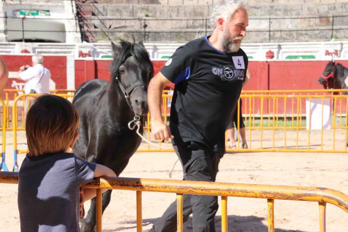 pottoka topaketa tolosa 4 1537627024466