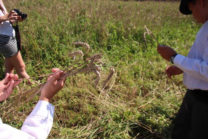 Garia bildu dute ogia egitek 36 1532422394564