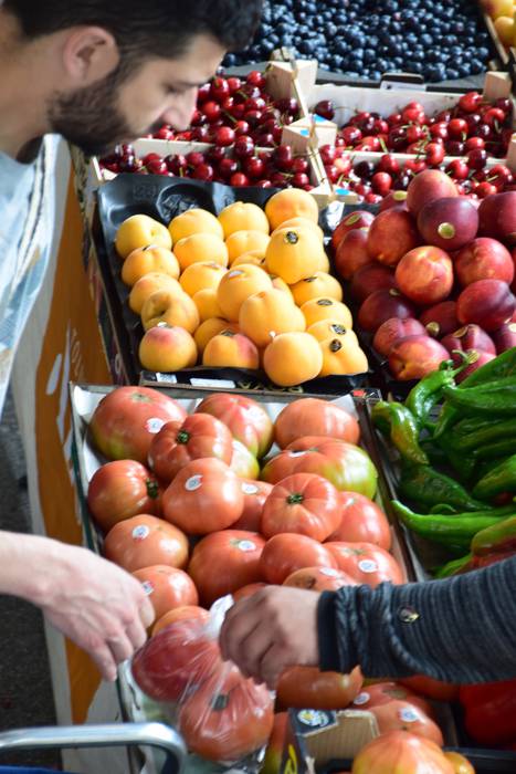 Lore eta Landare azoka Tolos 27 1652529030098