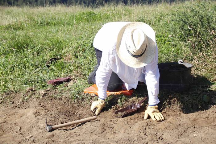 Saseta Defentsa Sistema auzo 4 1658491977421