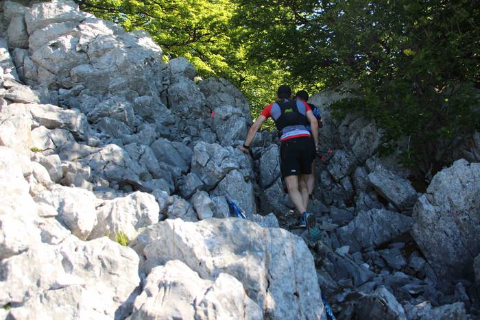 T3T, Hernio 2019 87 1560688449560