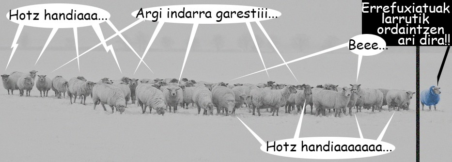 Ardiak hotzak