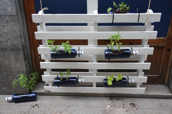 artekalea tolosa baratzeak 2016 1 1462968042398