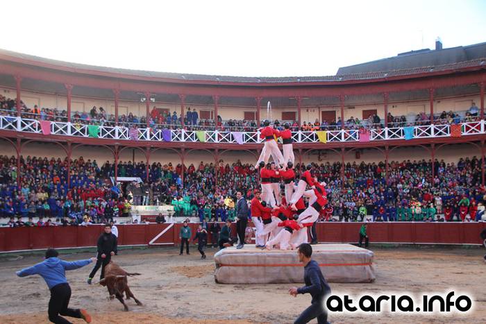 ostegun gizena 2016 zezen plaza 92 1454608289874