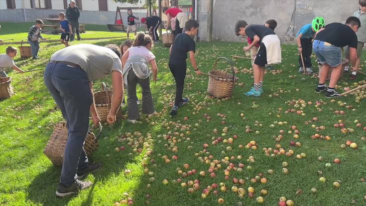 Sagardoa nola egiten den ikasi dute Altzon