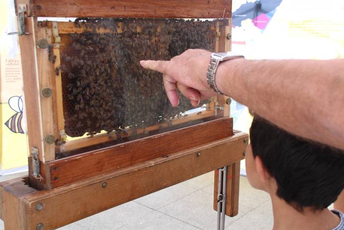 Piperra baino askoz gehiago 71 1505655074175