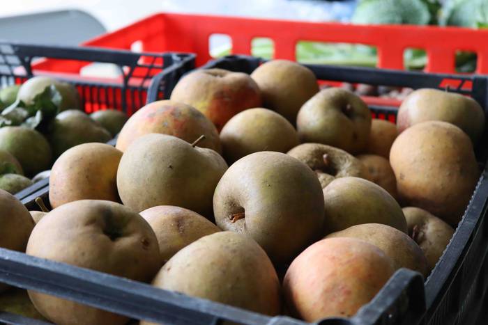 Azoka bueltatu da Gaztelura 23 1636302518233