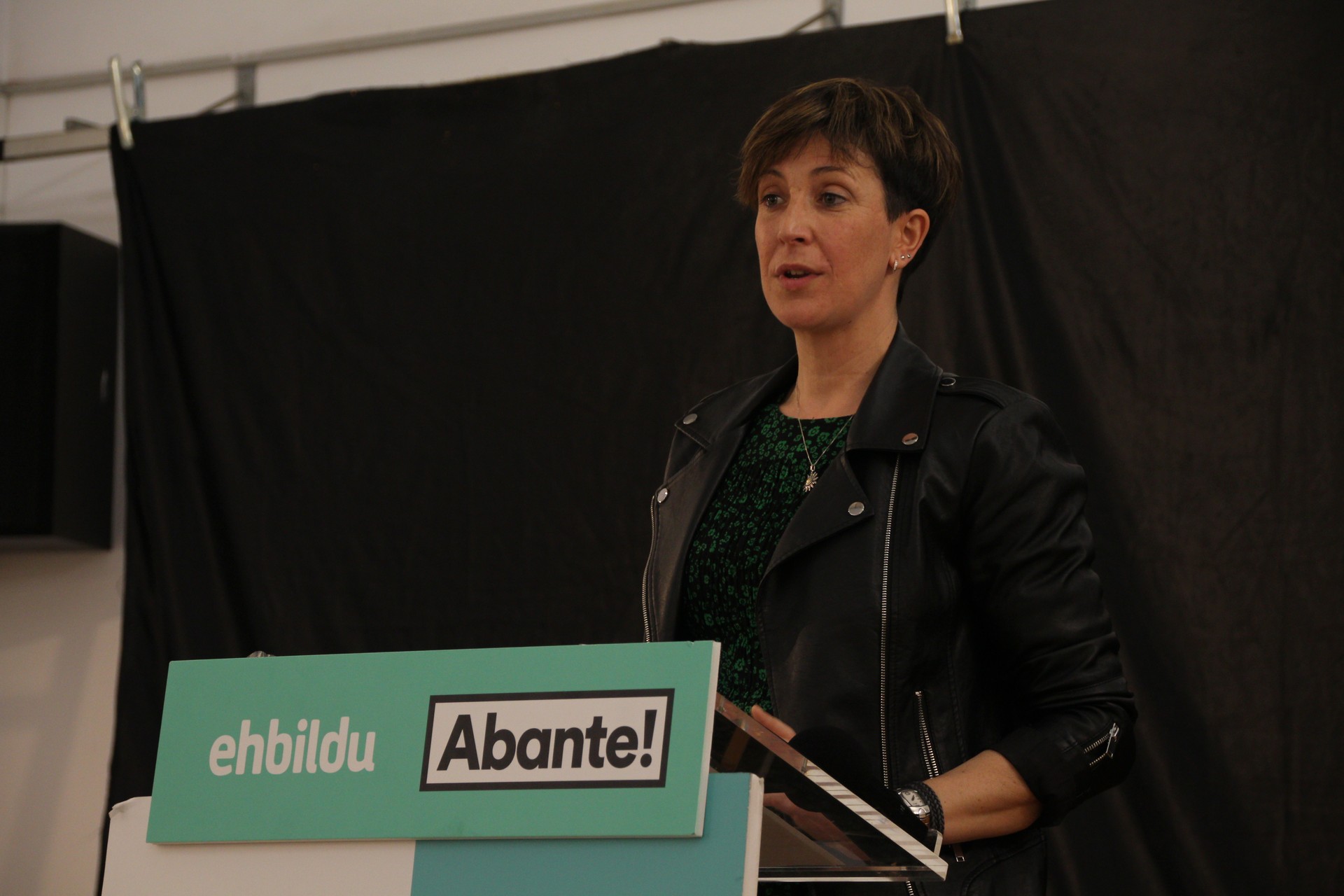 Maite Amenabar, Zizurkilgo EH Bilduren alkategai
