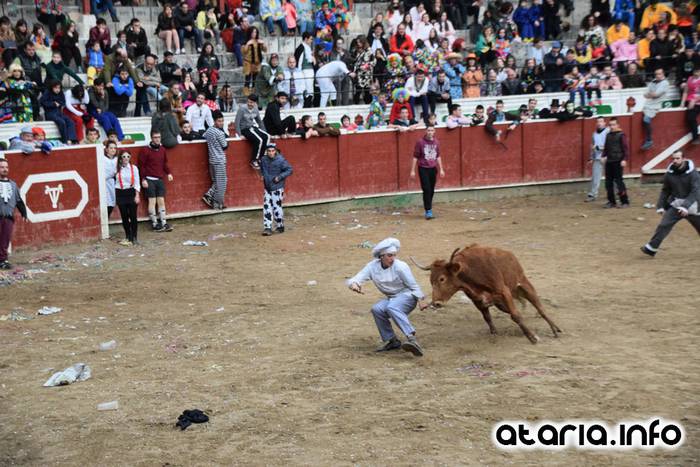 Pattar zezena 2016 38 1455012396802