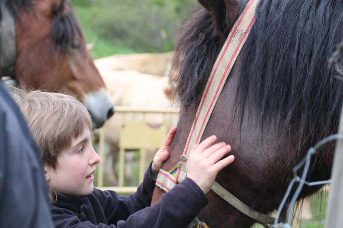 Aralarko larre irekiera 51 1462122140595