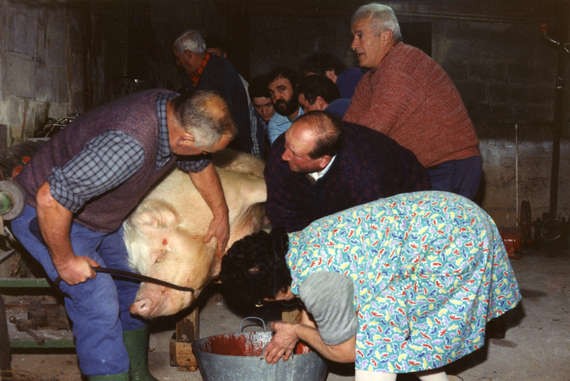 Txerri boda Orexan