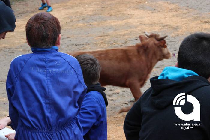 Zinbuluka ta zanbuluka 17 1487957679815