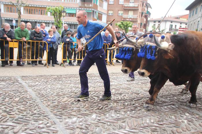 San Isidro Eguna Amasa Astea 18 1526395775460