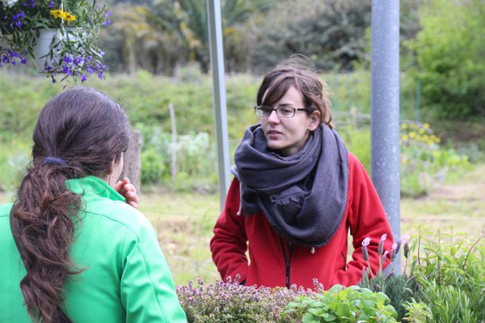 Alegako azoka ekologikoa 7 1462113307633