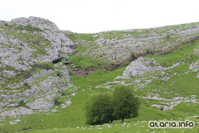 XIV Orduak Minak - Larrondo 165 1464547206088