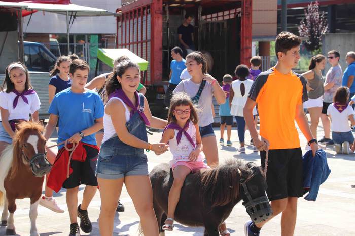 Festak hasteko, poniak eta z 3 1566993963581